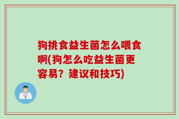 狗挑食益生菌怎么喂食啊(狗怎么吃益生菌更容易?建议和技巧) 狗挑食益生菌怎么喂食啊(狗怎么吃益生菌更容易?建议和技巧)