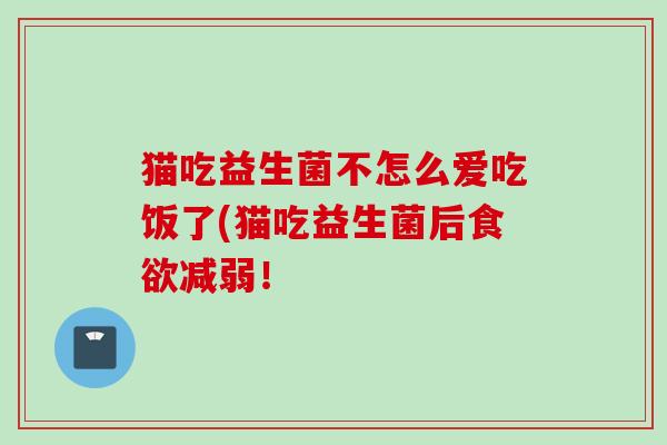 猫吃益生菌不怎么爱吃饭了(猫吃益生菌后减弱！