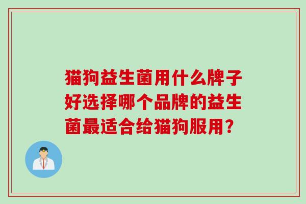 猫狗益生菌用什么牌子好选择哪个品牌的益生菌适合给猫狗服用？