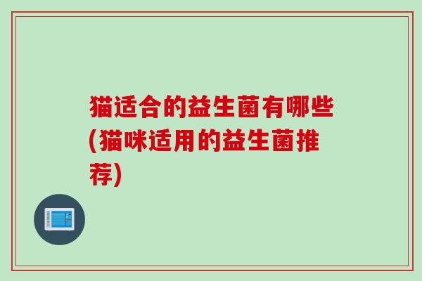 猫适合的益生菌有哪些(猫咪适用的益生菌推荐)