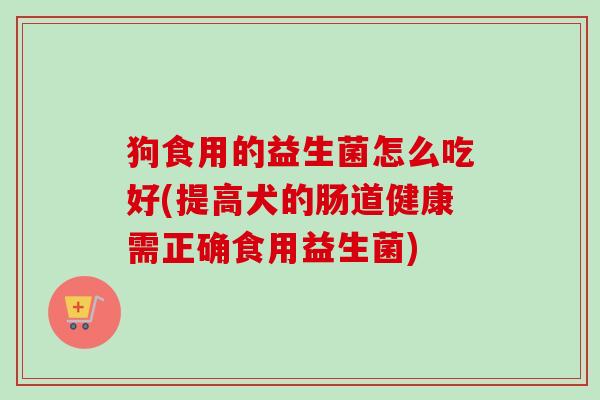 狗食用的益生菌怎么吃好(提高犬的肠道健康需正确食用益生菌)