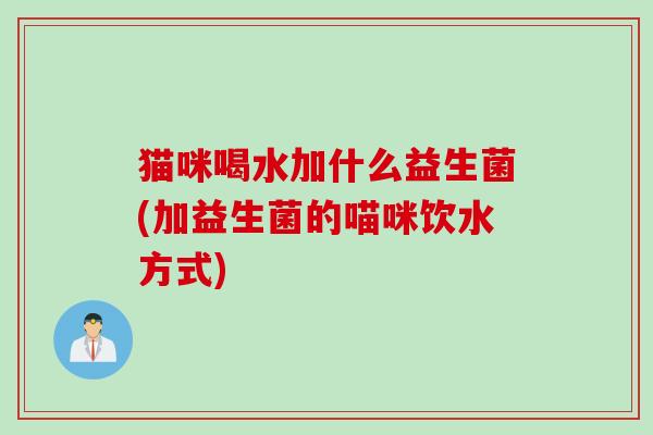 猫咪喝水加什么益生菌(加益生菌的喵咪饮水方式)