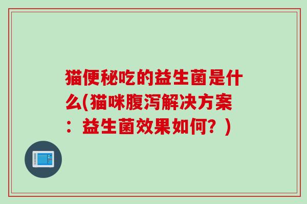 猫吃的益生菌是什么(猫咪解决方案：益生菌效果如何？)