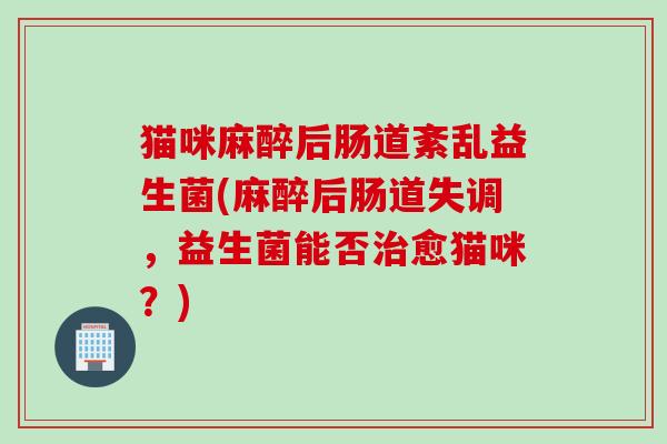 猫咪麻醉后肠道紊乱益生菌(麻醉后肠道失调,益生菌能否愈猫咪?) 猫咪麻醉后肠道紊乱益生菌(麻醉后肠道失调,益生菌能否愈猫咪?)