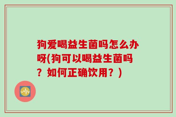 狗爱喝益生菌吗怎么办呀(狗可以喝益生菌吗？如何正确饮用？)