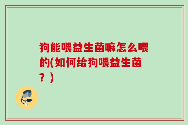 狗能喂益生菌嘛怎么喂的(如何给狗喂益生菌?) 狗能喂益生菌嘛怎么喂的(如何给狗喂益生菌?)