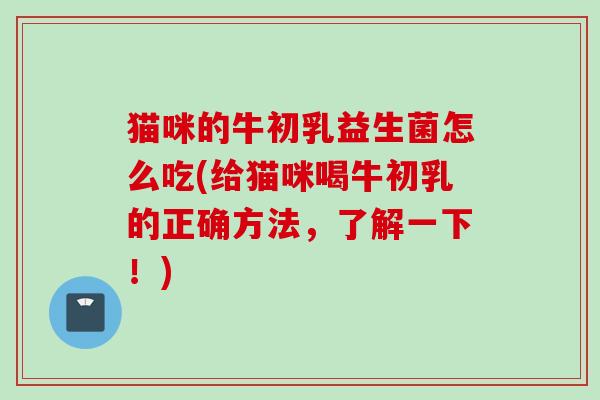 猫咪的牛初乳益生菌怎么吃(给猫咪喝牛初乳的正确方法,了解一下!) 猫咪的牛初乳益生菌怎么吃(给猫咪喝牛初乳的正确方法,了解一下!)