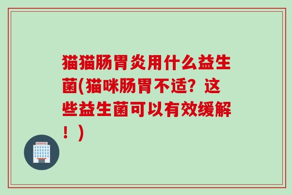 猫猫肠用什么益生菌(猫咪肠胃不适?这些益生菌可以有效缓解!) 猫猫肠用什么益生菌(猫咪肠胃不适?这些益生菌可以有效缓解!)