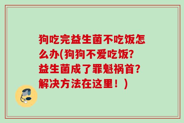 狗吃完益生菌不吃饭怎么办(狗狗不爱吃饭?益生菌成了罪魁祸首?解决方法在这里!) 狗吃完益生菌不吃饭怎么办(狗狗不爱吃饭?益生菌成了罪魁祸首?解决方法在这里!)