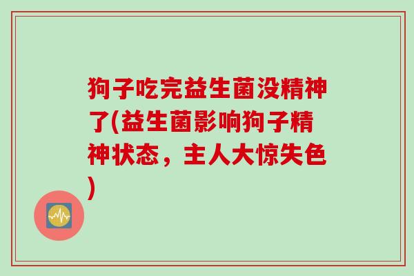 狗子吃完益生菌没精神了(益生菌影响狗子精神状态,主人大惊失色) 狗子吃完益生菌没精神了(益生菌影响狗子精神状态,主人大惊失色)