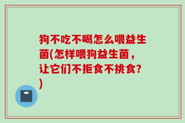 狗不吃不喝怎么喂益生菌(怎样喂狗益生菌，让它们不拒食不挑食？)
