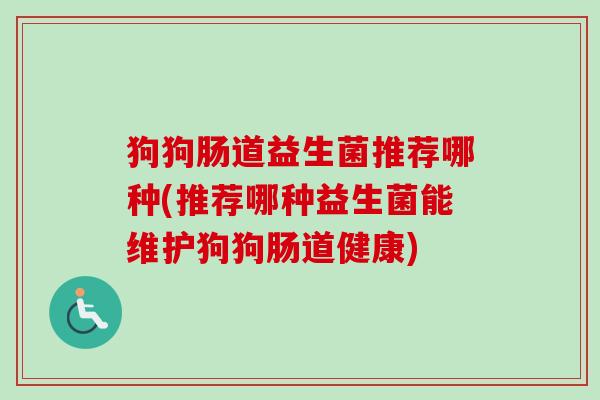 狗狗肠道益生菌推荐哪种(推荐哪种益生菌能维护狗狗肠道健康)