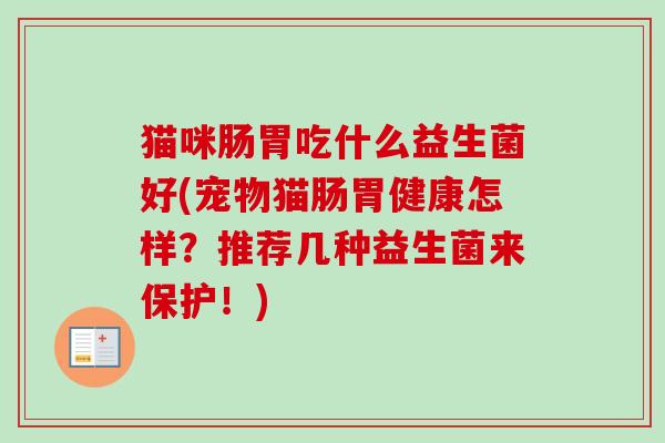猫咪肠胃吃什么益生菌好(宠物猫肠胃健康怎样?推荐几种益生菌来保护!) 猫咪肠胃吃什么益生菌好(宠物猫肠胃健康怎样?推荐几种益生菌来保护!)
