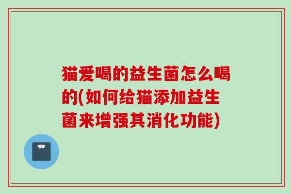猫爱喝的益生菌怎么喝的(如何给猫添加益生菌来增强其消化功能)