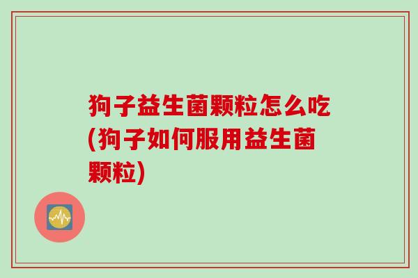 狗子益生菌颗粒怎么吃(狗子如何服用益生菌颗粒)
