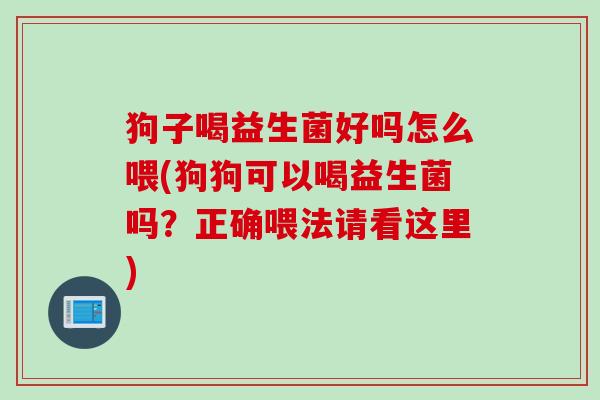 狗子喝益生菌好吗怎么喂(狗狗可以喝益生菌吗？正确喂法请看这里)