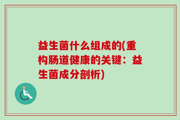 益生菌什么组成的(重构肠道健康的关键：益生菌成分剖析)