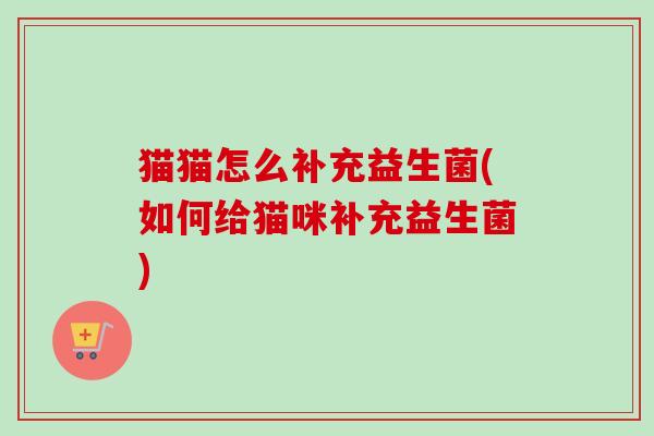 猫猫怎么补充益生菌(如何给猫咪补充益生菌)