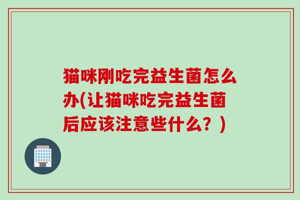 猫咪刚吃完益生菌怎么办(让猫咪吃完益生菌后应该注意些什么？)