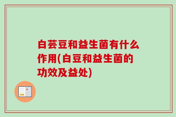白芸豆和益生菌有什么作用(白豆和益生菌的功效及益处)