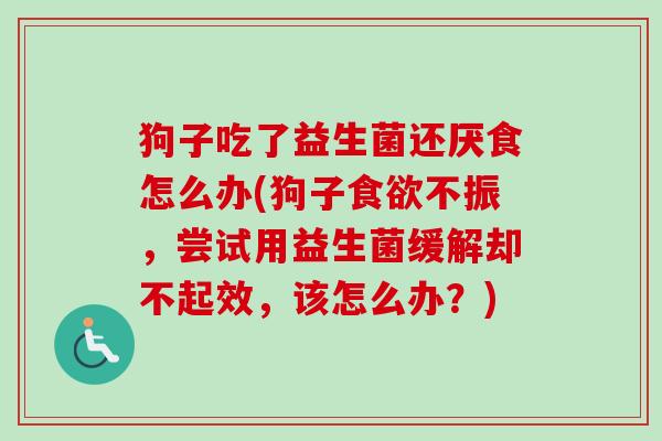 狗子吃了益生菌还厌食怎么办(狗子不振，尝试用益生菌缓解却不起效，该怎么办？)