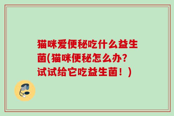 猫咪爱吃什么益生菌(猫咪怎么办？试试给它吃益生菌！)