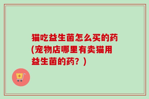 猫吃益生菌怎么买的药(宠物店哪里有卖猫用益生菌的药？)