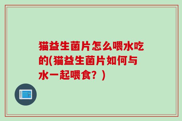 猫益生菌片怎么喂水吃的(猫益生菌片如何与水一起喂食？)