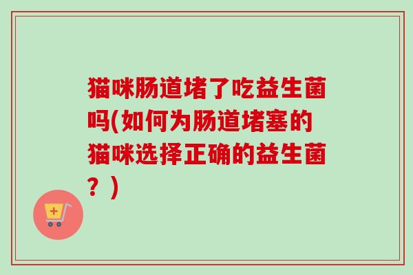 猫咪肠道堵了吃益生菌吗(如何为肠道堵塞的猫咪选择正确的益生菌？)