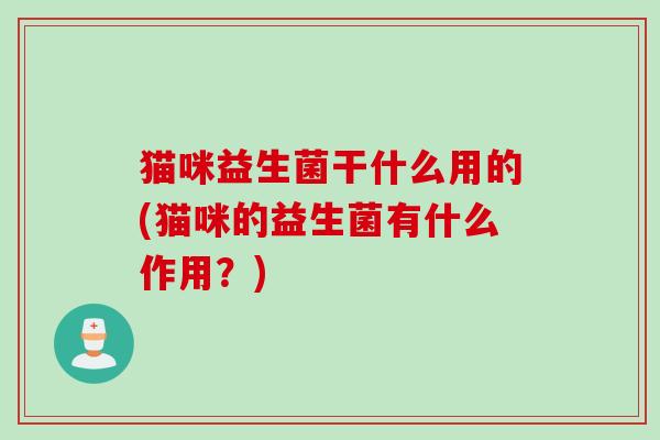 猫咪益生菌干什么用的(猫咪的益生菌有什么作用?) 猫咪益生菌干什么用的(猫咪的益生菌有什么作用?)