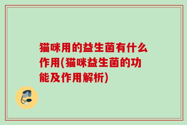 猫咪用的益生菌有什么作用(猫咪益生菌的功能及作用解析) 猫咪用的益生菌有什么作用(猫咪益生菌的功能及作用解析)