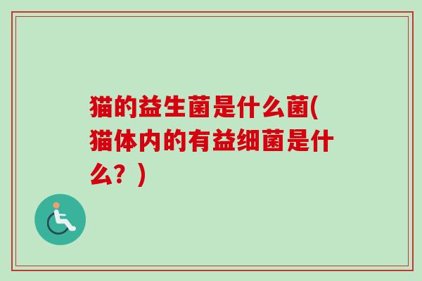 猫的益生菌是什么菌(猫体内的有益是什么？)