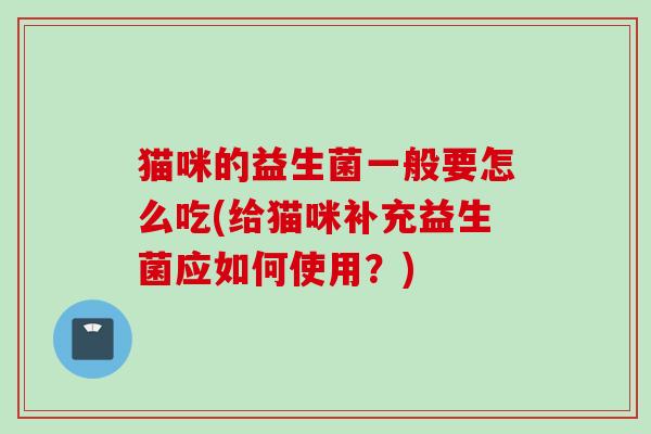 猫咪的益生菌一般要怎么吃(给猫咪补充益生菌应如何使用？)