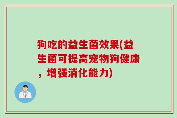 狗吃的益生菌效果(益生菌可提高宠物狗健康，增强消化能力)