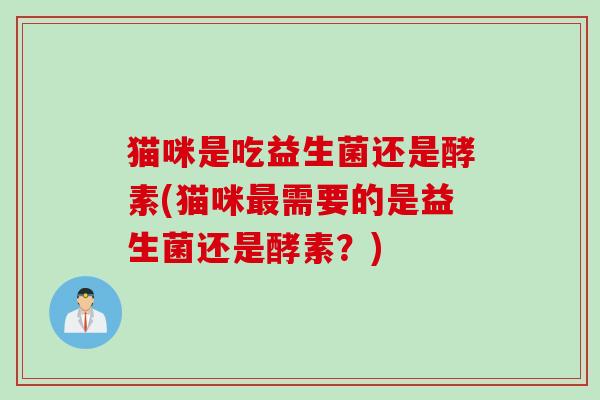 猫咪是吃益生菌还是酵素(猫咪需要的是益生菌还是酵素？)
