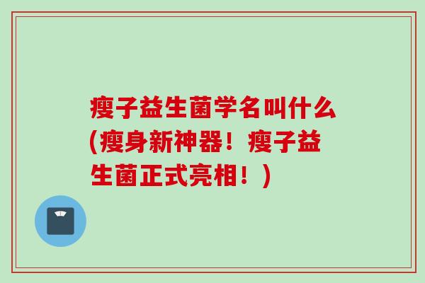 瘦子益生菌学名叫什么(瘦身新神器!瘦子益生菌正式亮相!) 瘦子益生菌学名叫什么(瘦身新神器!瘦子益生菌正式亮相!)