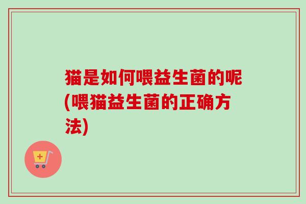 猫是如何喂益生菌的呢(喂猫益生菌的正确方法) 猫是如何喂益生菌的呢(喂猫益生菌的正确方法)
