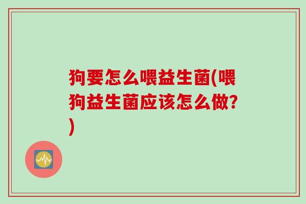 狗要怎么喂益生菌(喂狗益生菌应该怎么做？)