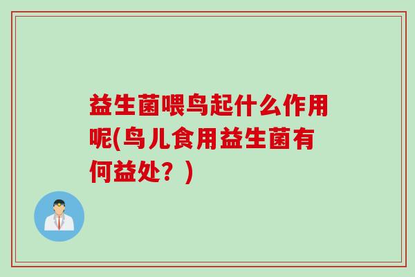 益生菌喂鸟起什么作用呢(鸟儿食用益生菌有何益处？)