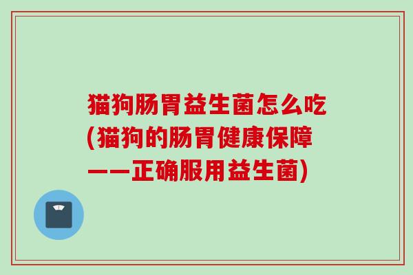 猫狗肠胃益生菌怎么吃(猫狗的肠胃健康保障——正确服用益生菌)