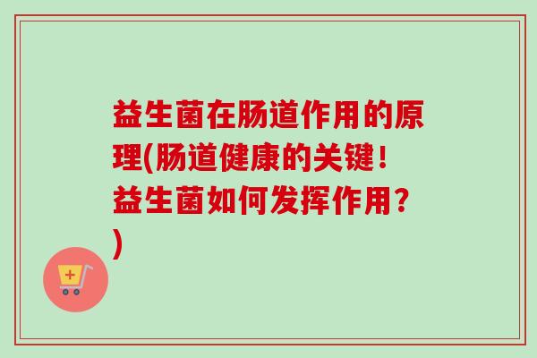 益生菌在肠道作用的原理(肠道健康的关键！益生菌如何发挥作用？)