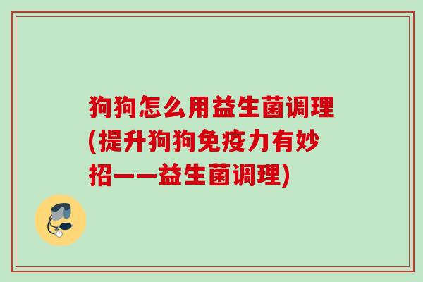 狗狗怎么用益生菌调理(提升狗狗力有妙招——益生菌调理)