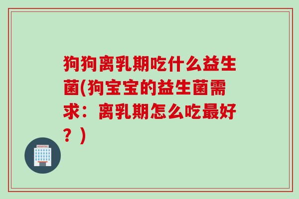 狗狗离乳期吃什么益生菌(狗宝宝的益生菌需求：离乳期怎么吃好？)