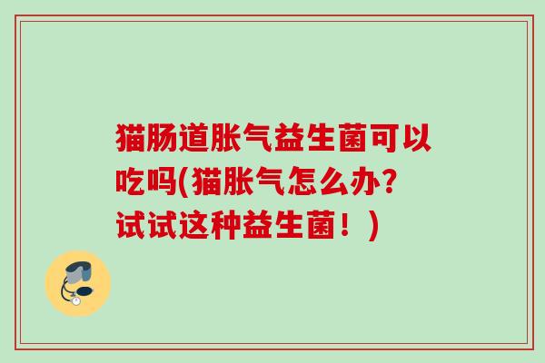 猫肠道益生菌可以吃吗(猫怎么办？试试这种益生菌！)
