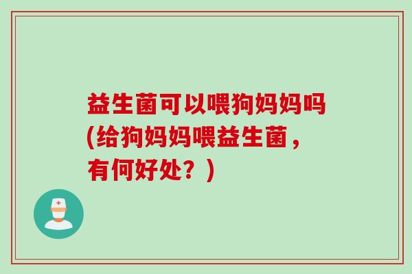 益生菌可以喂狗妈妈吗(给狗妈妈喂益生菌，有何好处？)