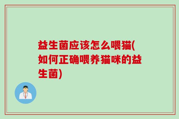 益生菌应该怎么喂猫(如何正确喂养猫咪的益生菌)
