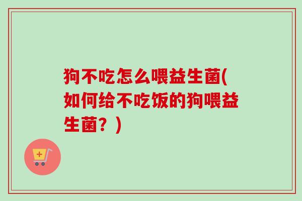 狗不吃怎么喂益生菌(如何给不吃饭的狗喂益生菌?) 狗不吃怎么喂益生菌(如何给不吃饭的狗喂益生菌?)