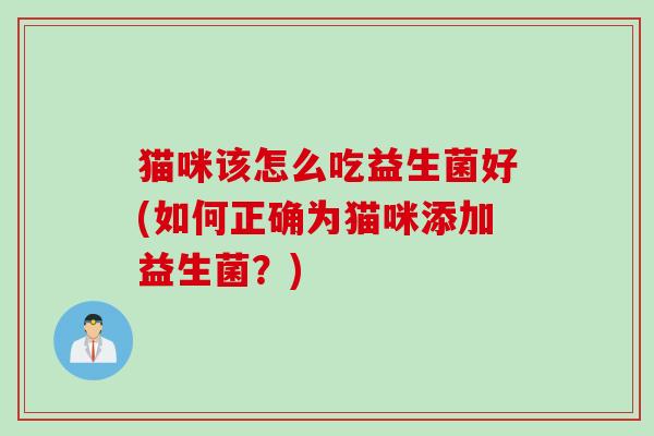 猫咪该怎么吃益生菌好(如何正确为猫咪添加益生菌?) 猫咪该怎么吃益生菌好(如何正确为猫咪添加益生菌?)