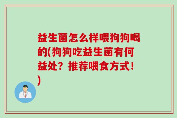 益生菌怎么样喂狗狗喝的(狗狗吃益生菌有何益处？推荐喂食方式！)