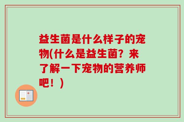 益生菌是什么样子的宠物(什么是益生菌？来了解一下宠物的营养师吧！)